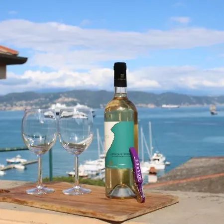 Ampia Casa Marinara Con Meravigliosa Terrazza Vista Mare Da Mario E Rosanna Porto Venere